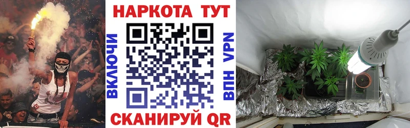 Купить наркотики цена Гдов Гашиш  мега ТОР  Альфа ПВП  Амфетамин  Кокаин  Меф  МАРИХУАНА 