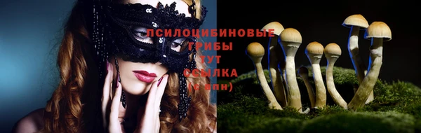 герыч Алзамай