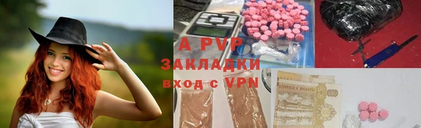 гашик Алексеевка