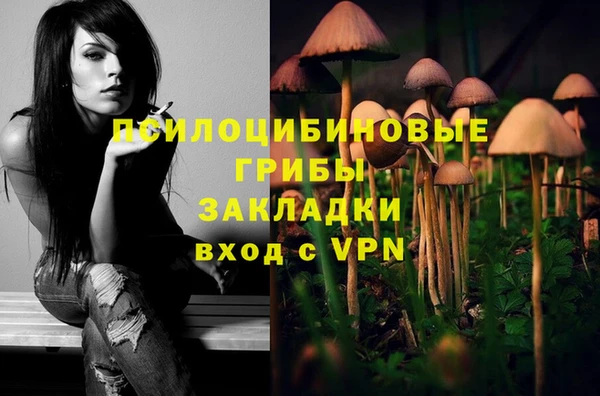 гашик Алексеевка