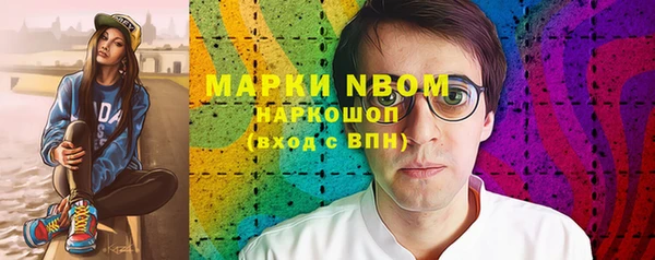 гашик Алексеевка
