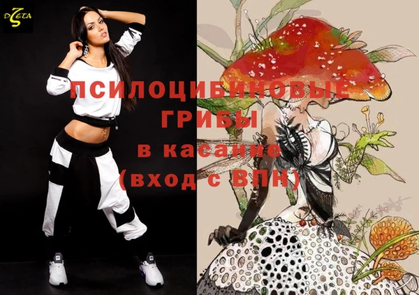 гашик Алексеевка