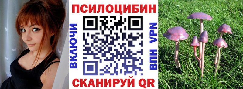 kraken как зайти  Гдов  Псилоцибиновые грибы ЛСД  продажа наркотиков 